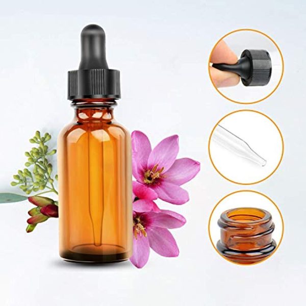 1oz Amber Glass Bottles for Essential Oils with Glass Eye Dropper - Pack of 12 For Sale