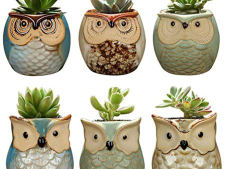 YLINGSU Cerami Succulent Cactus Plant Flower Conta 6 in Set 2.5 inch Owl Pot Ceramic Flowing Glaze Base Serial, Blue (Plants not included) Sale