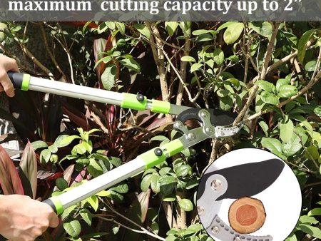 Ymachray Compound Action Anvil Lopper - 28~40 inch Extendable Tree Trimmer and Branch Cutter - 2 Inch Cutting Capacity-Heavy Duty Supply