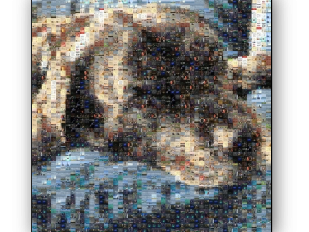 Photo Mosaic Metal Print For Sale