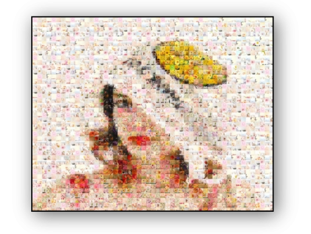 Photo Mosaic Canvas Print For Sale